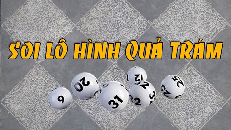 Lô hình quả trám và cách bắt cầu hiệu quả